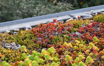 the cost of Longthorpe green roof installation