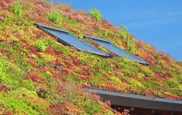 Longthorpe living roof systems