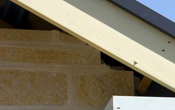 soffit repair Longthorpe