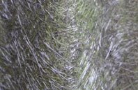 Longthorpe fibreglass roof work